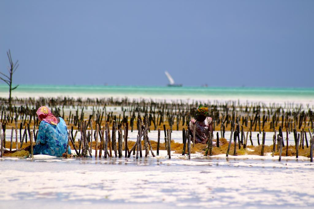 Zanzistar Gasthof Jambiani (Zanzibar)