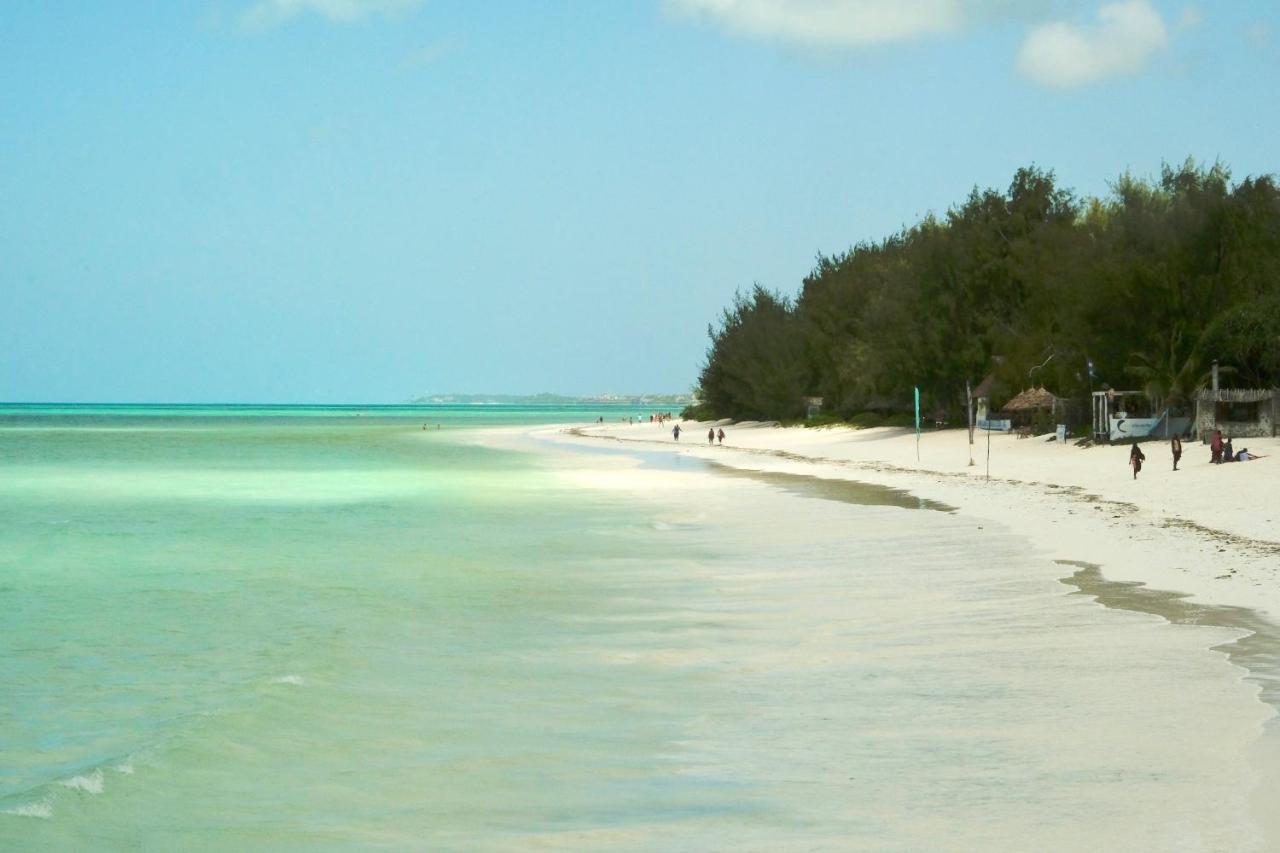 Zanzistar 3*